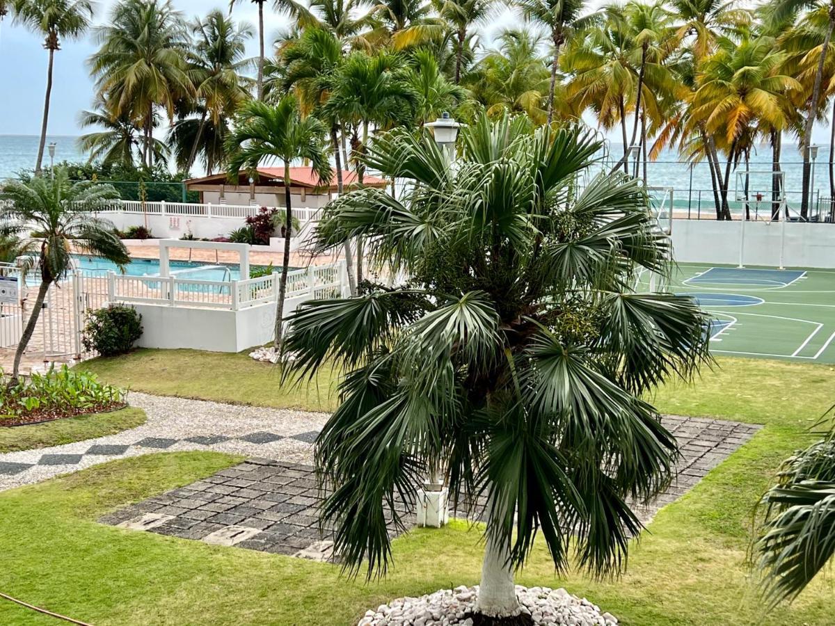 Hobie Oceanfront Apartment At Isla Verde San Juan Dış mekan fotoğraf